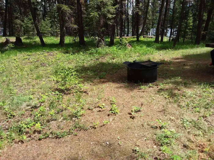 Mcgillivray Campground (mt)