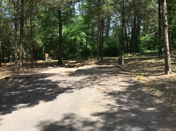 Piney Bay