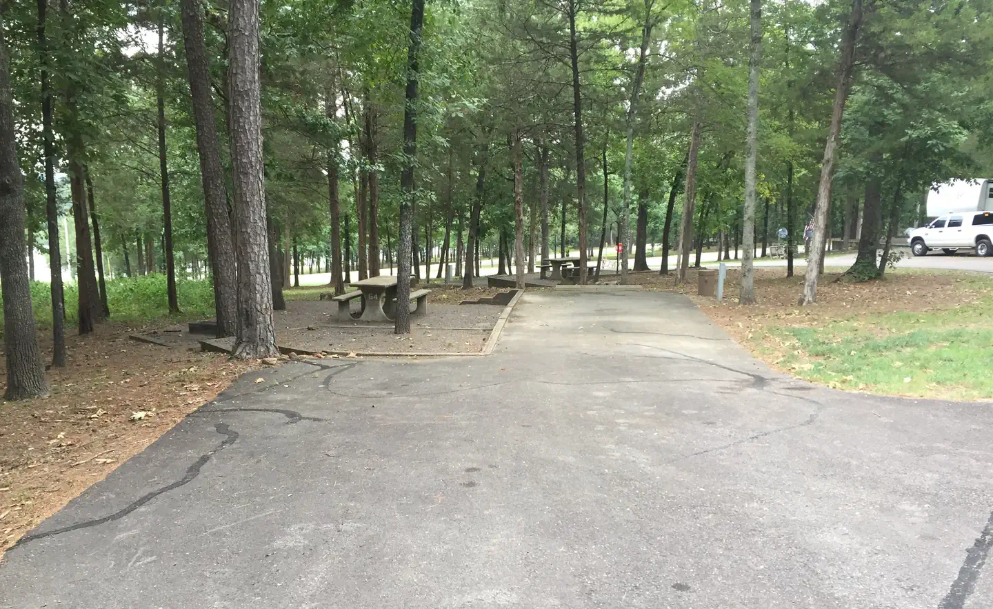 Piney Bay