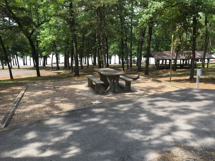 Piney Bay