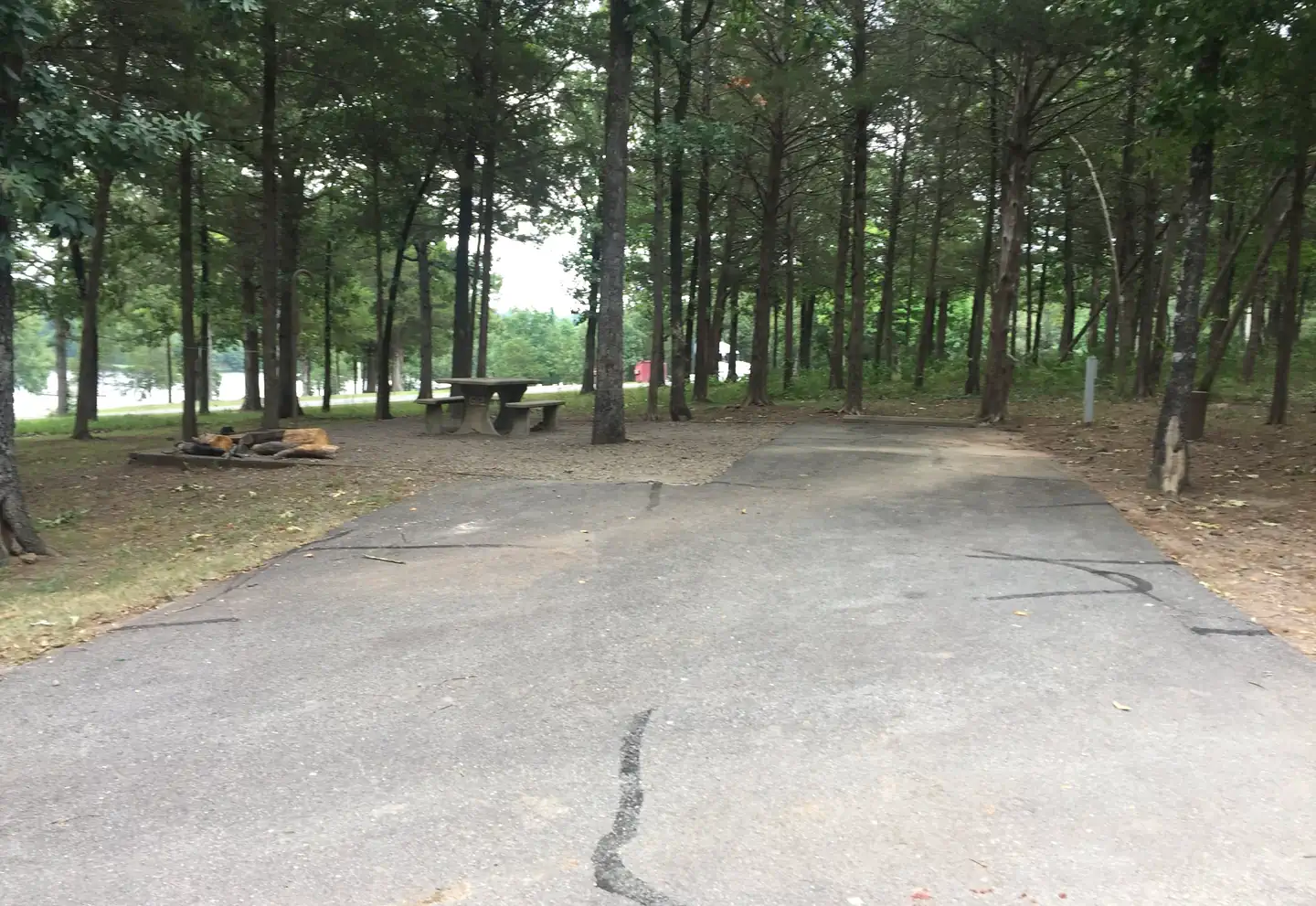 Piney Bay