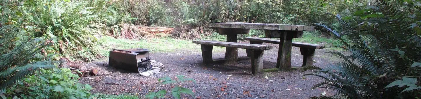 Shannon Creek Campground