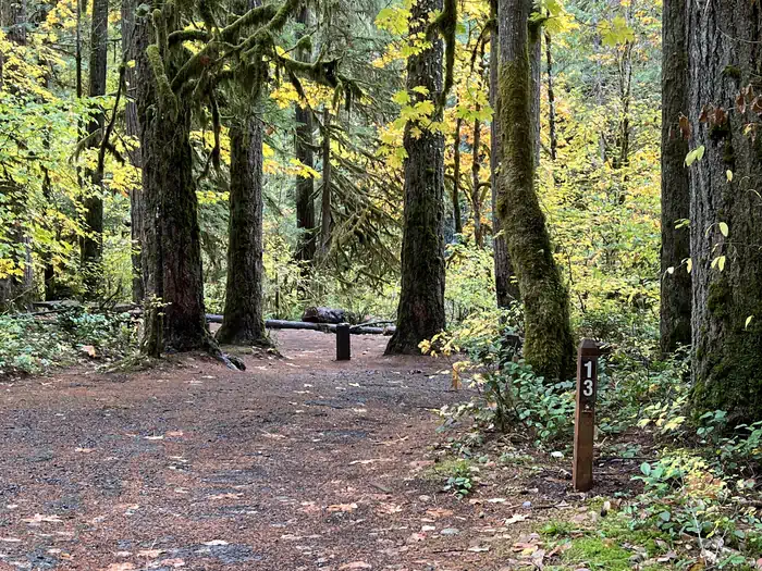 Trout Creek Campground