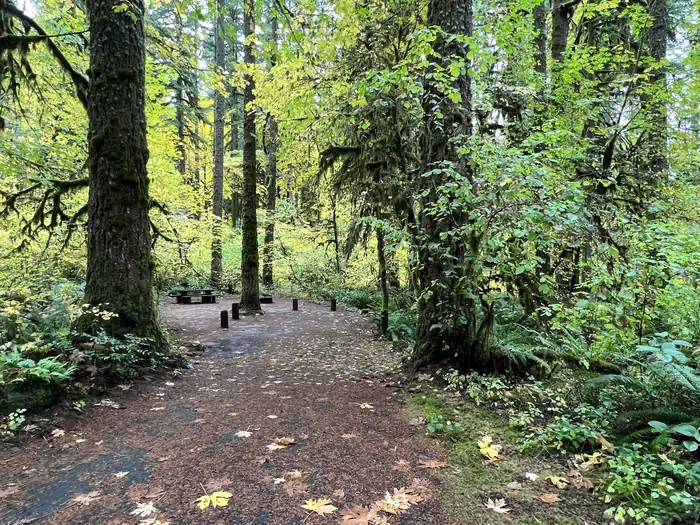 Trout Creek Campground