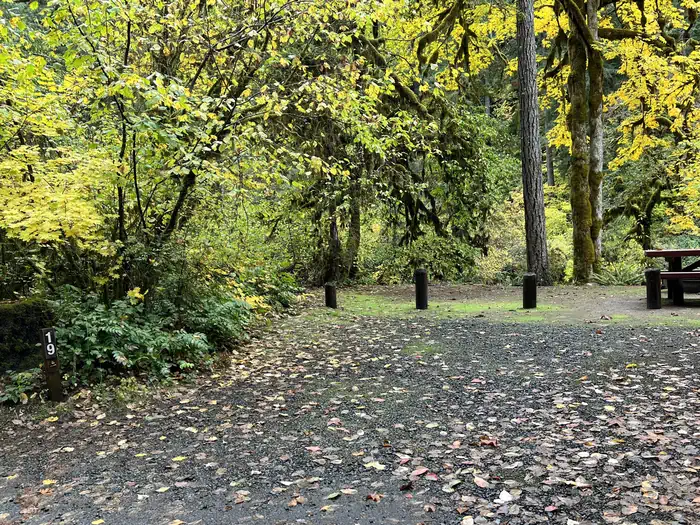 Trout Creek Campground