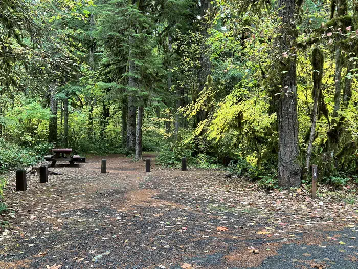 Trout Creek Campground