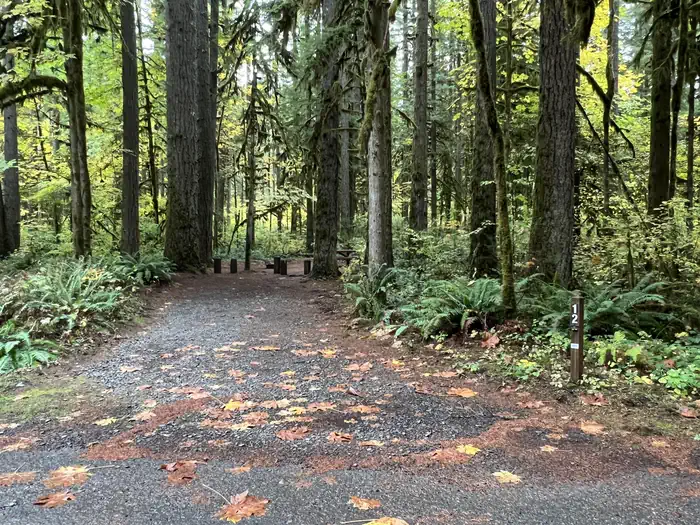 Trout Creek Campground