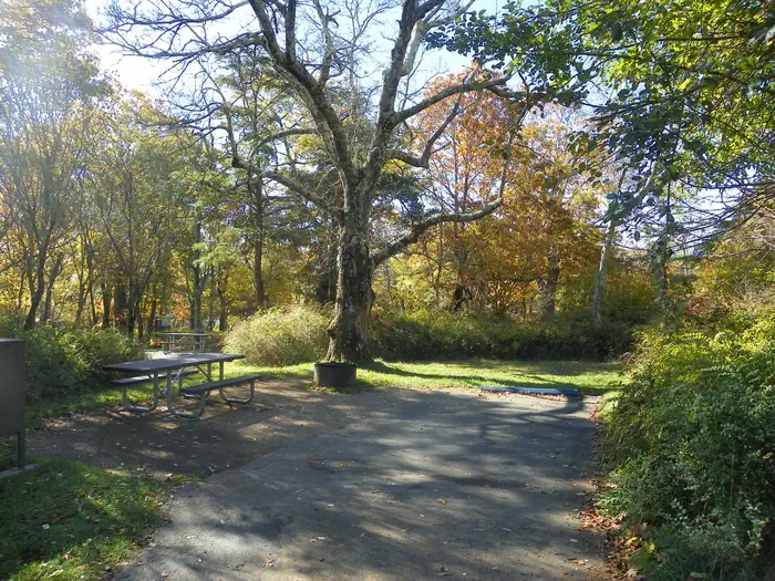 Big Meadows Campground - Shenandoah (va)