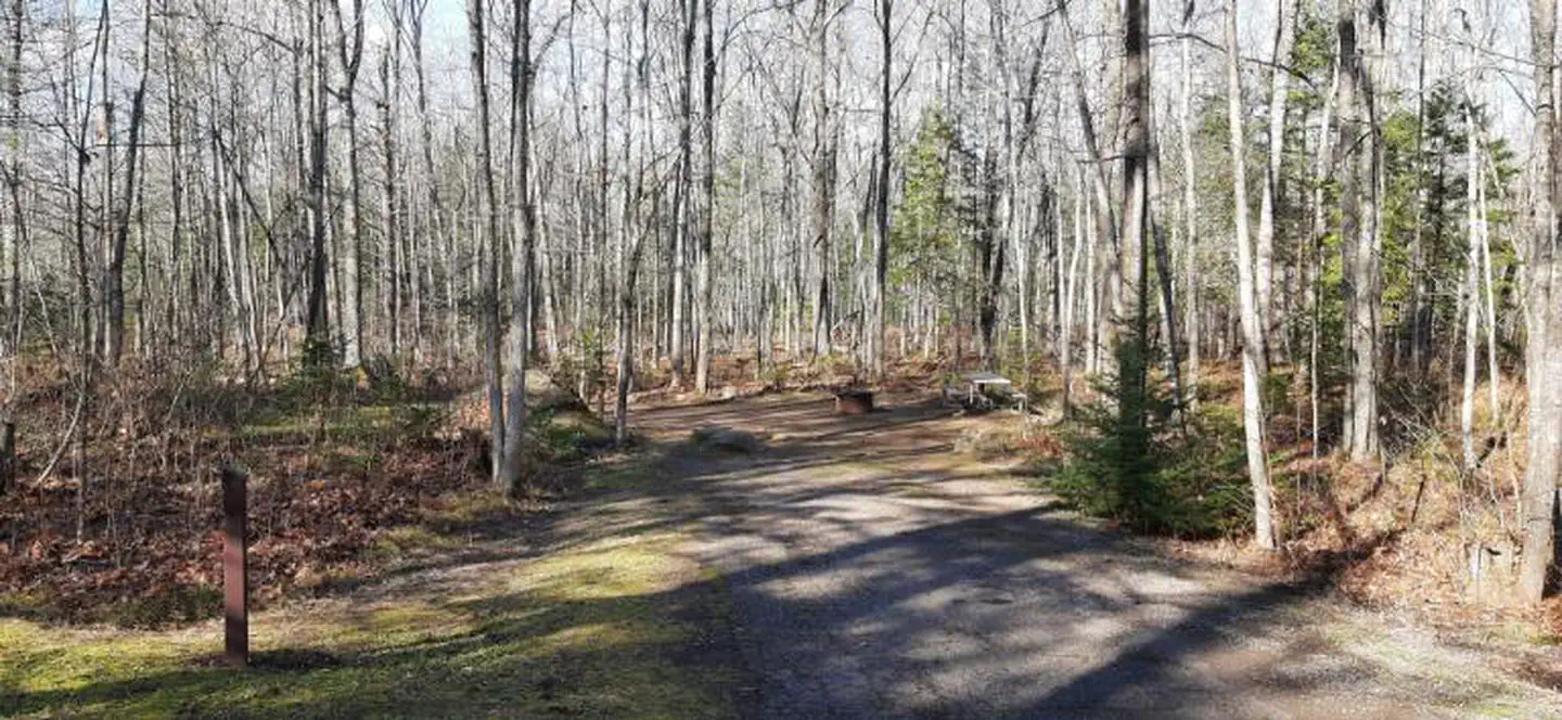 Bagley Rapids NF Campground