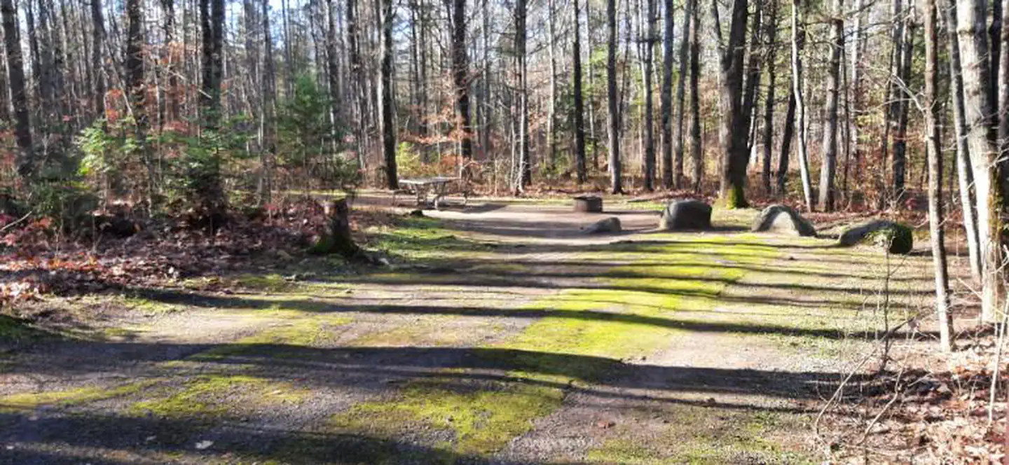 Bagley Rapids NF Campground