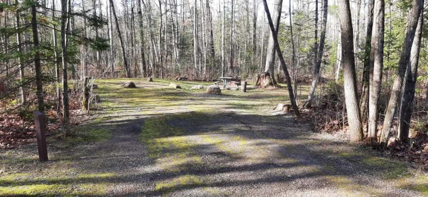 Bagley Rapids NF Campground