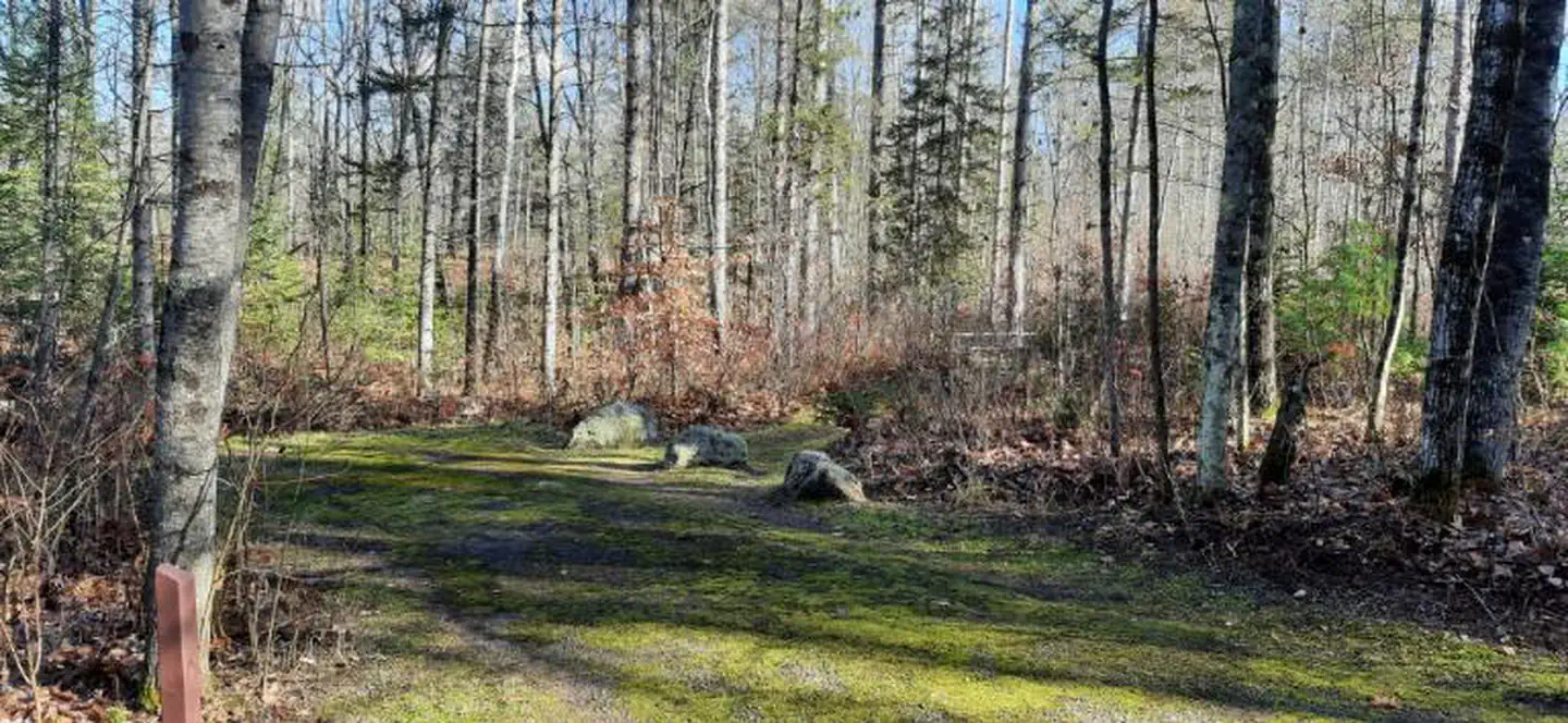 Bagley Rapids NF Campground
