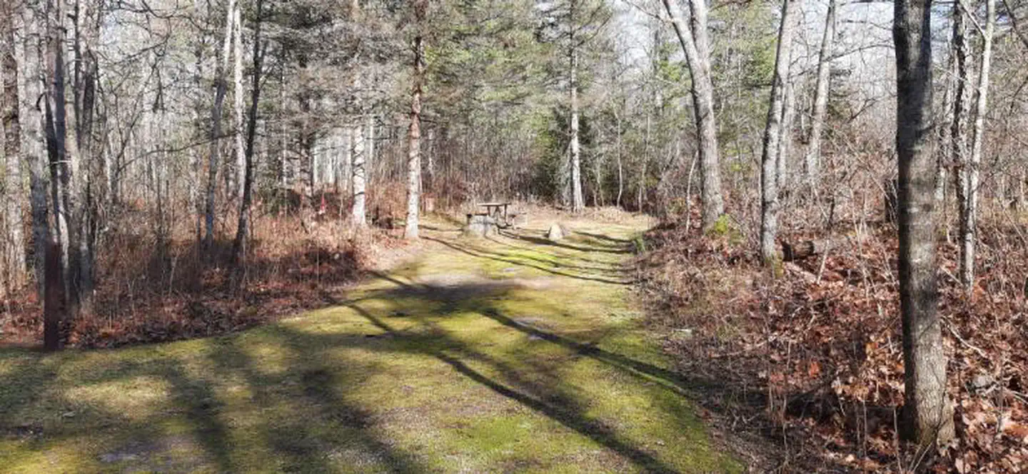 Bagley Rapids NF Campground