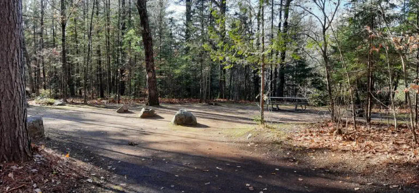 Bagley Rapids NF Campground