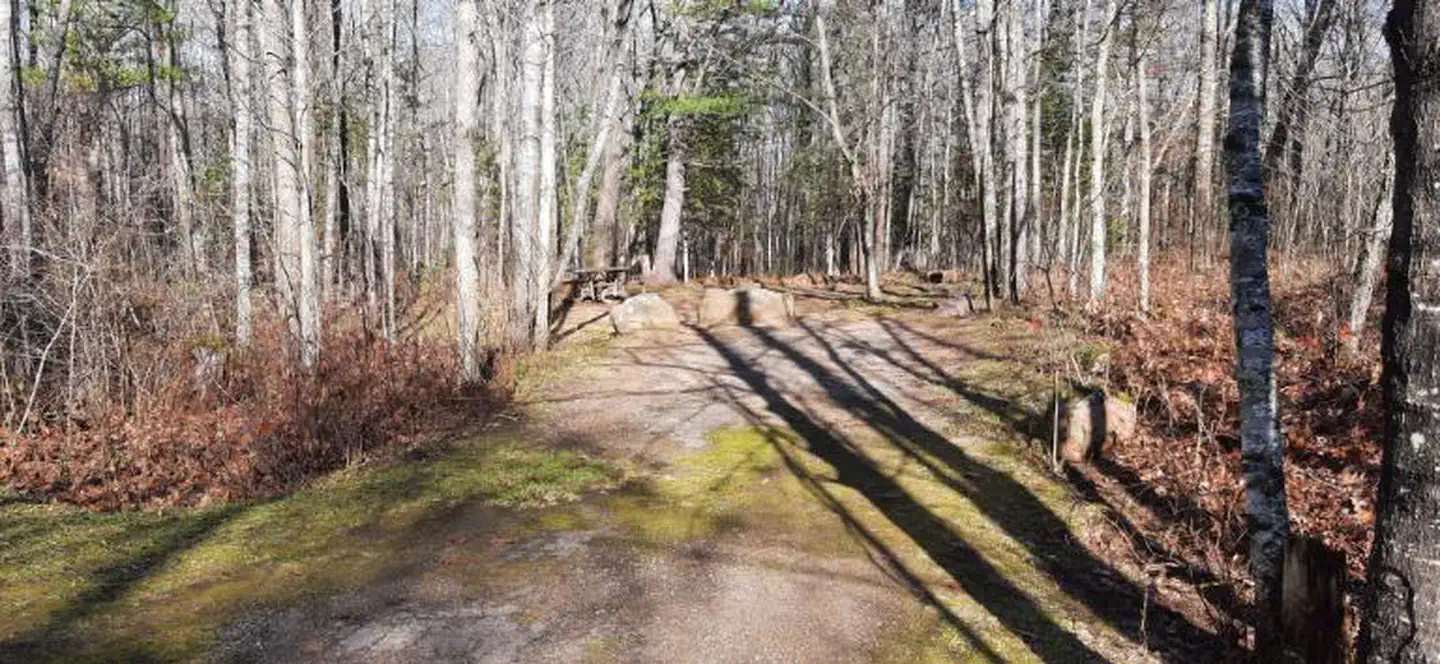 Bagley Rapids NF Campground