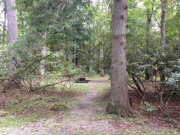 Blue Bend Rec Area