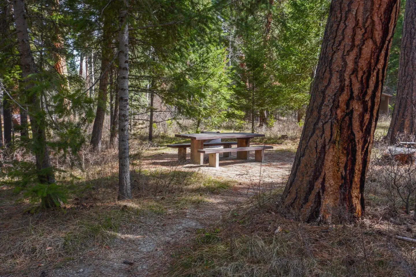 Alta Campground