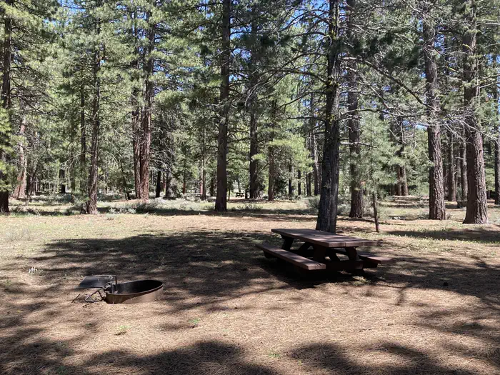 Lightning Tree Campground