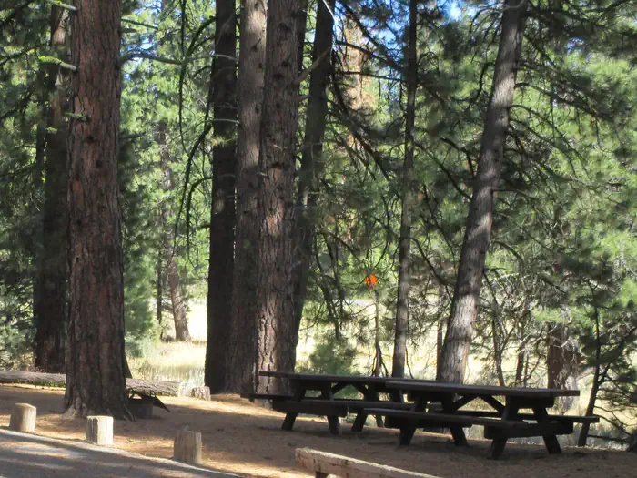 Lightning Tree Campground