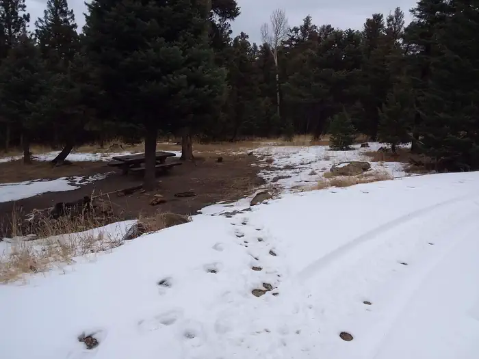 CIMARRON CAMPGROUND