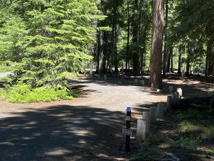 Cedar Springs Campground (wa)
