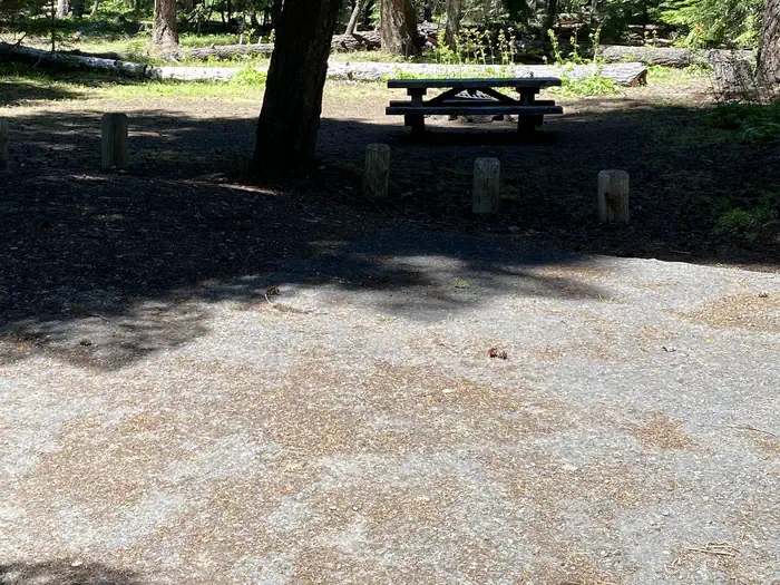Cedar Springs Campground (wa)