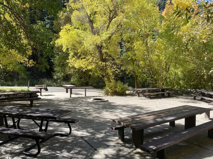 Mueller Park Group Picnic
