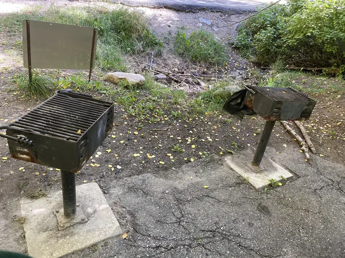Mueller Park Group Picnic