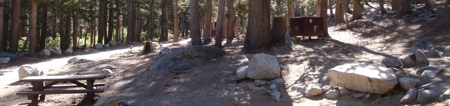 Coldwater Campground - Inyo Nf (ca)