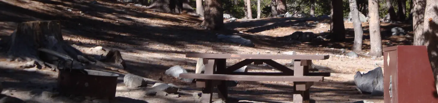 Coldwater Campground - Inyo Nf (ca)