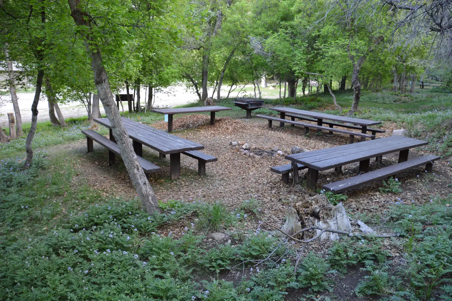 Oak Creek (fishlake National Forest, Utah)