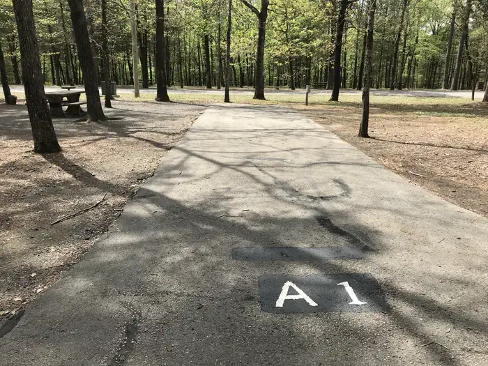 A01