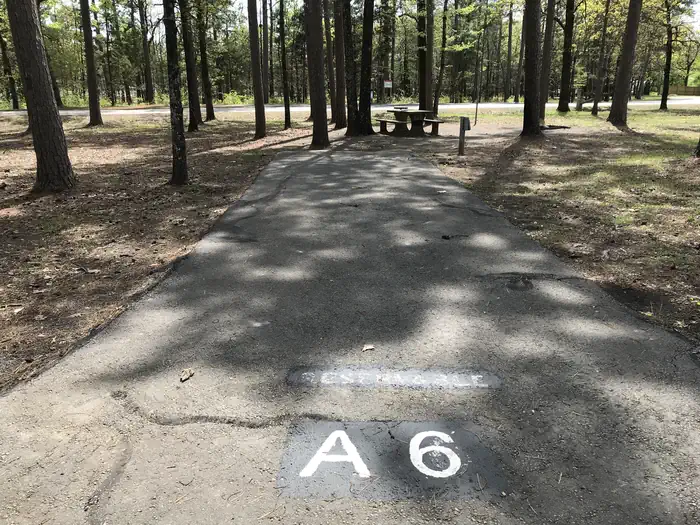 A06