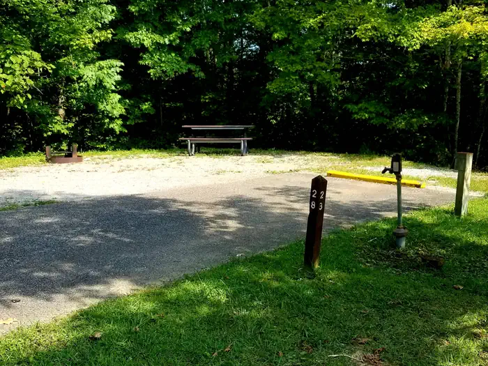 Blue Heron - Big South Fork National River Rec Area