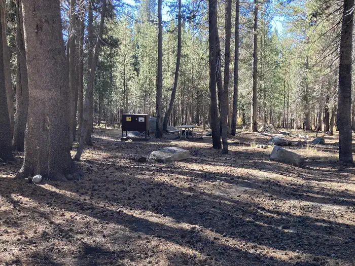 White Wolf Campground