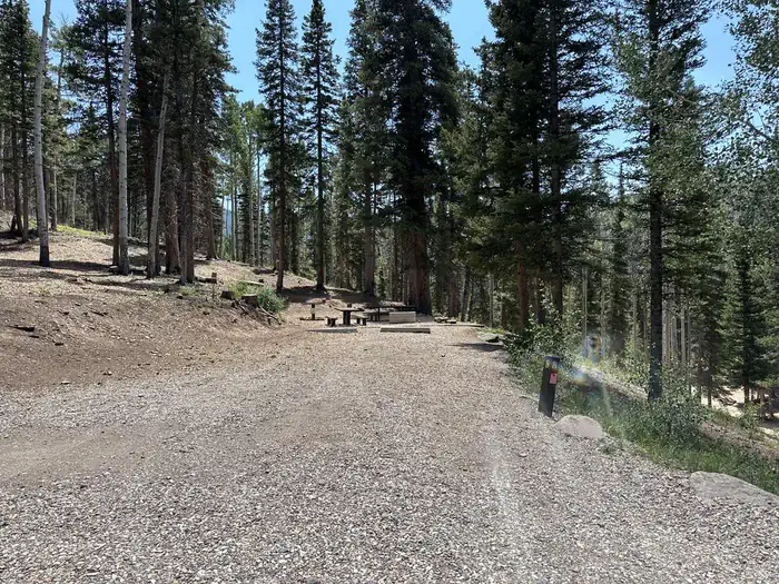 Anderson Meadow Campground (fishlake Nf, Ut)