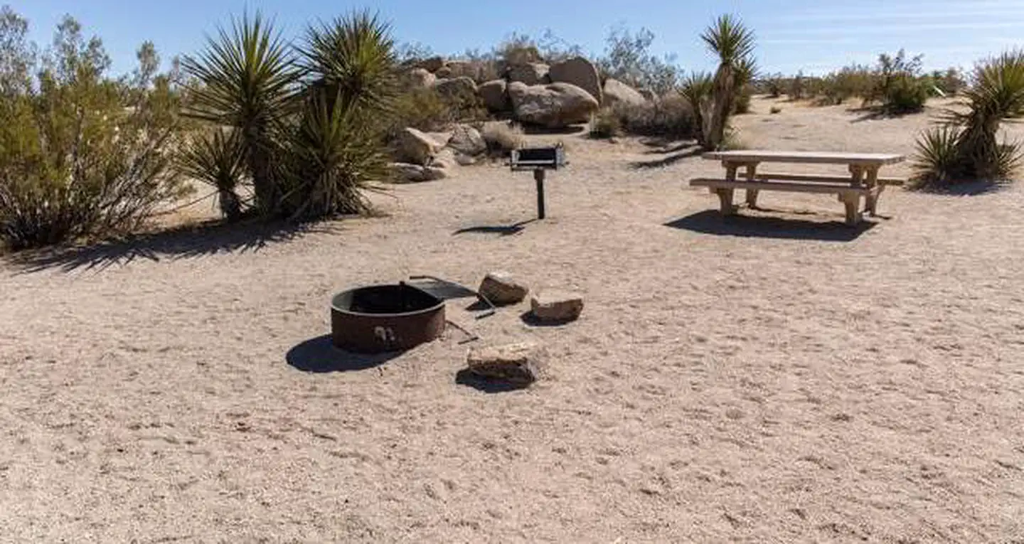 Jumbo Rocks Campground