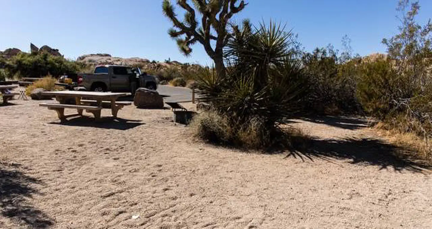 Jumbo Rocks Campground