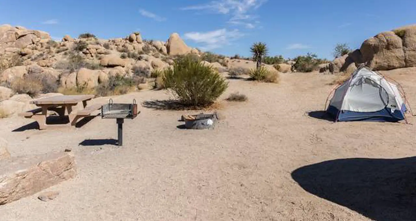 Jumbo Rocks Campground