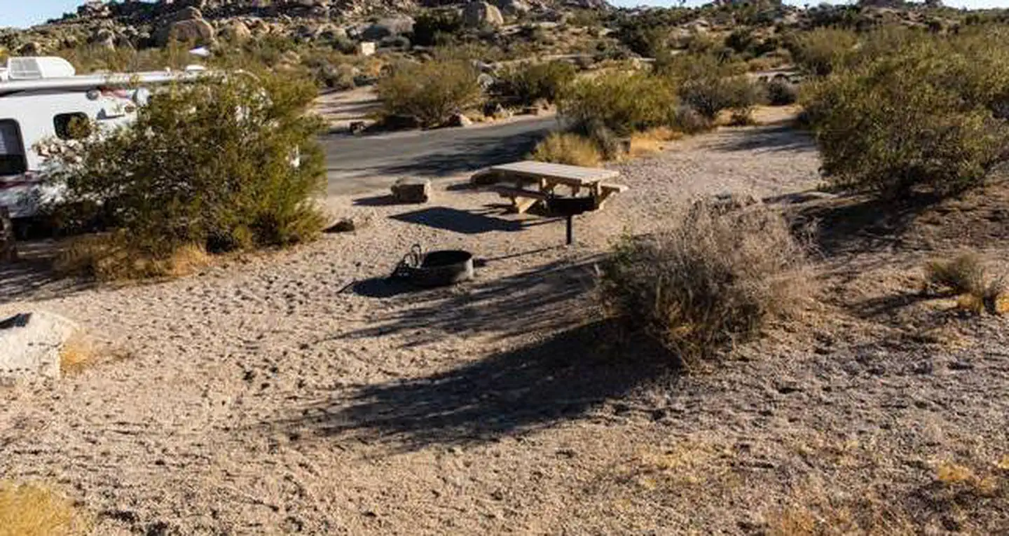Jumbo Rocks Campground