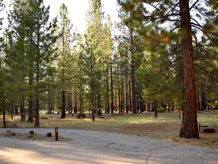 Christie Campground