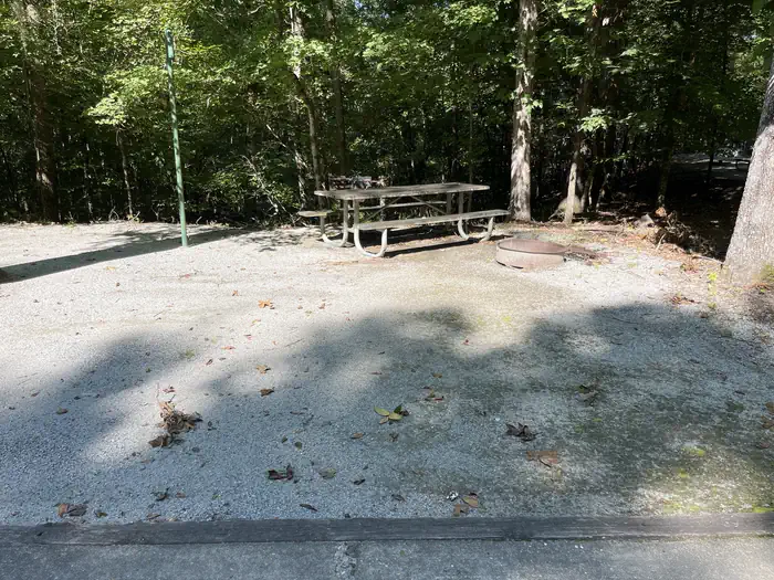 Bluff Creek