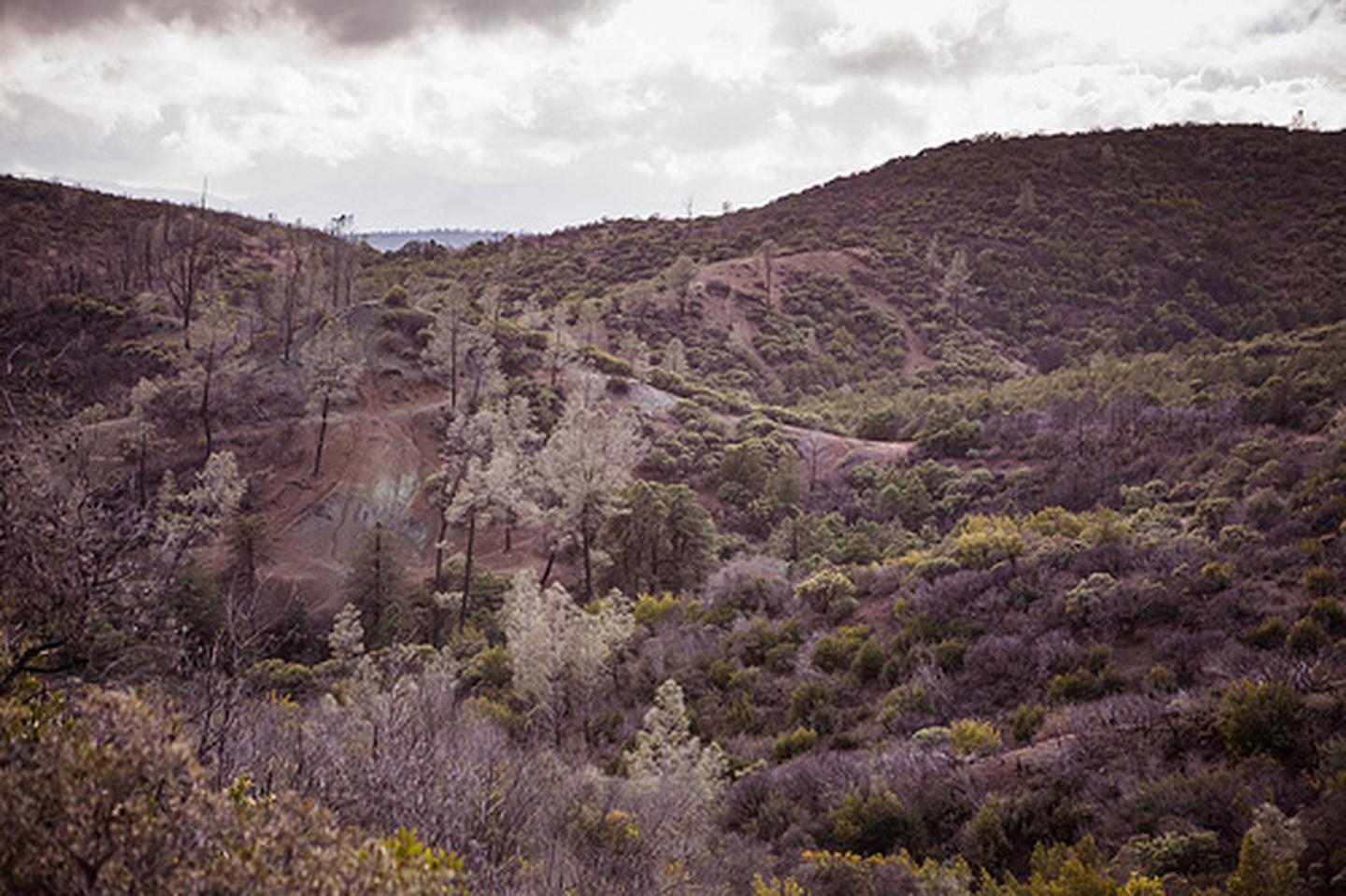 Knoxville Management Area — Knoxville Recreation Area