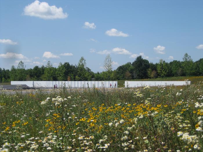 Flight 93 National Memorial — Wildflower field at the Memorial Plaza at the crash site