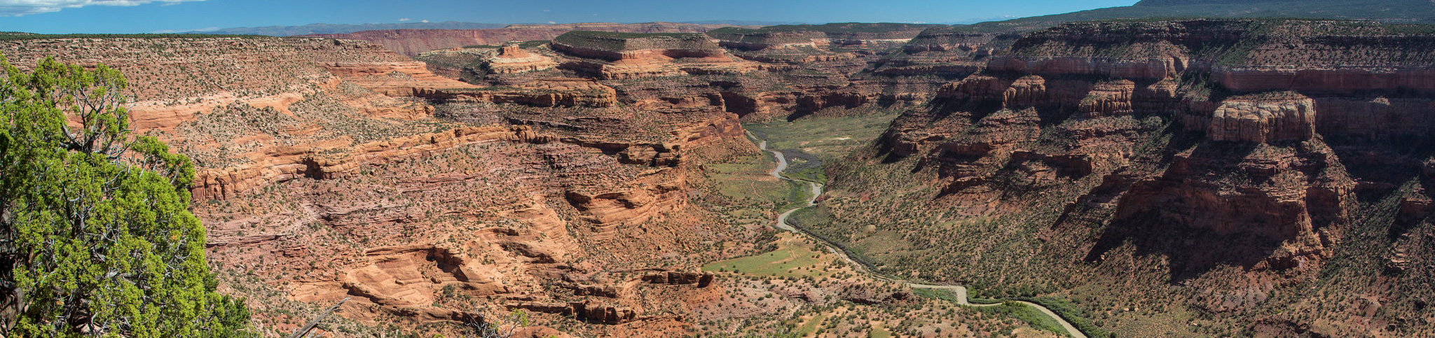 Dolores River (UT)