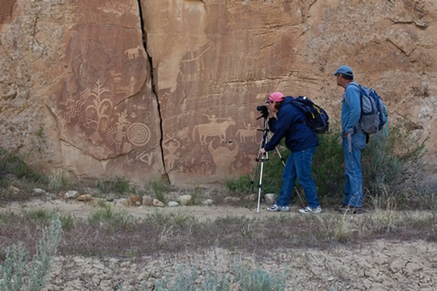 Crow Canyon Petroglyphs