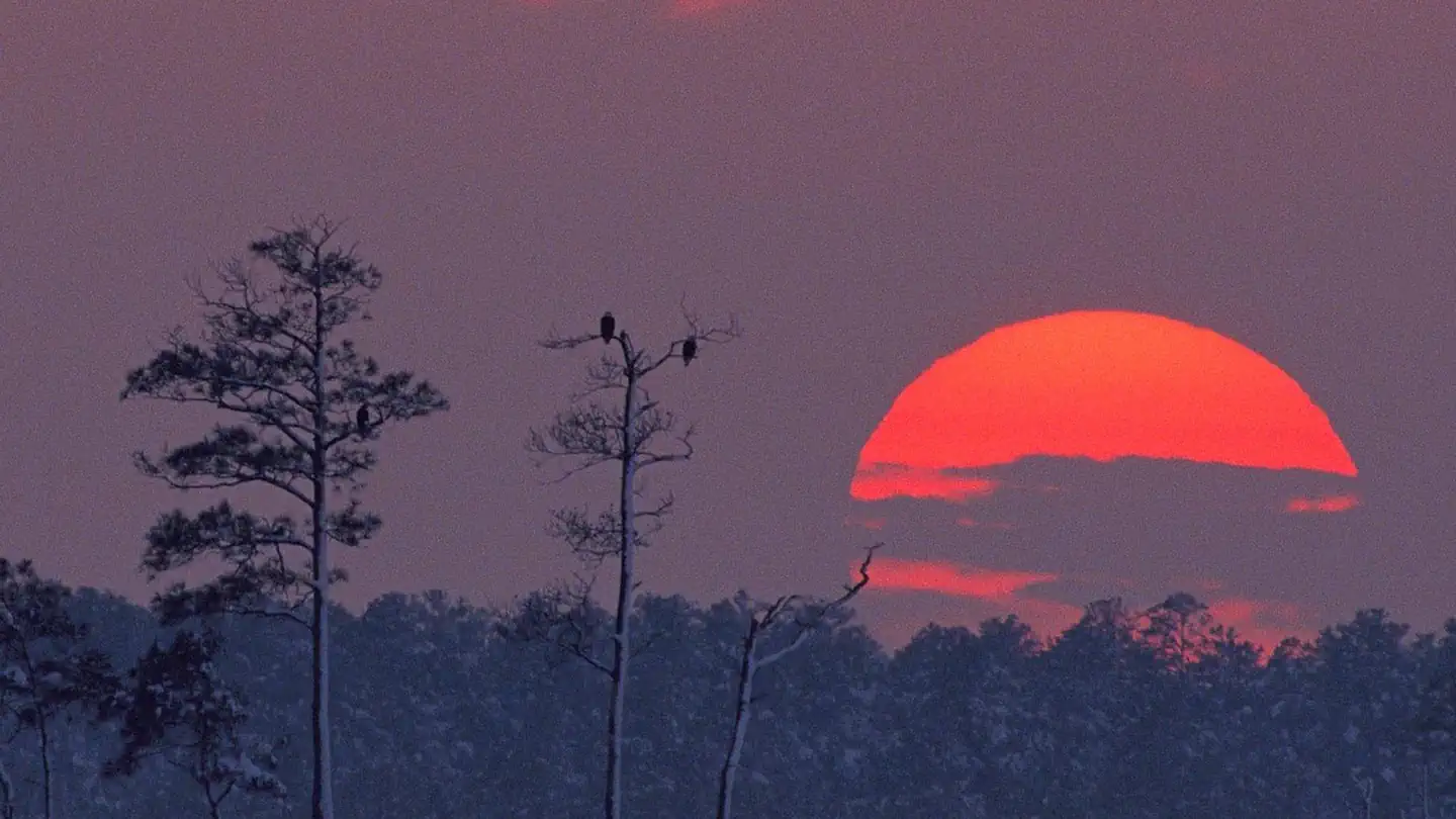 Blackwater National Wildlife Refuge