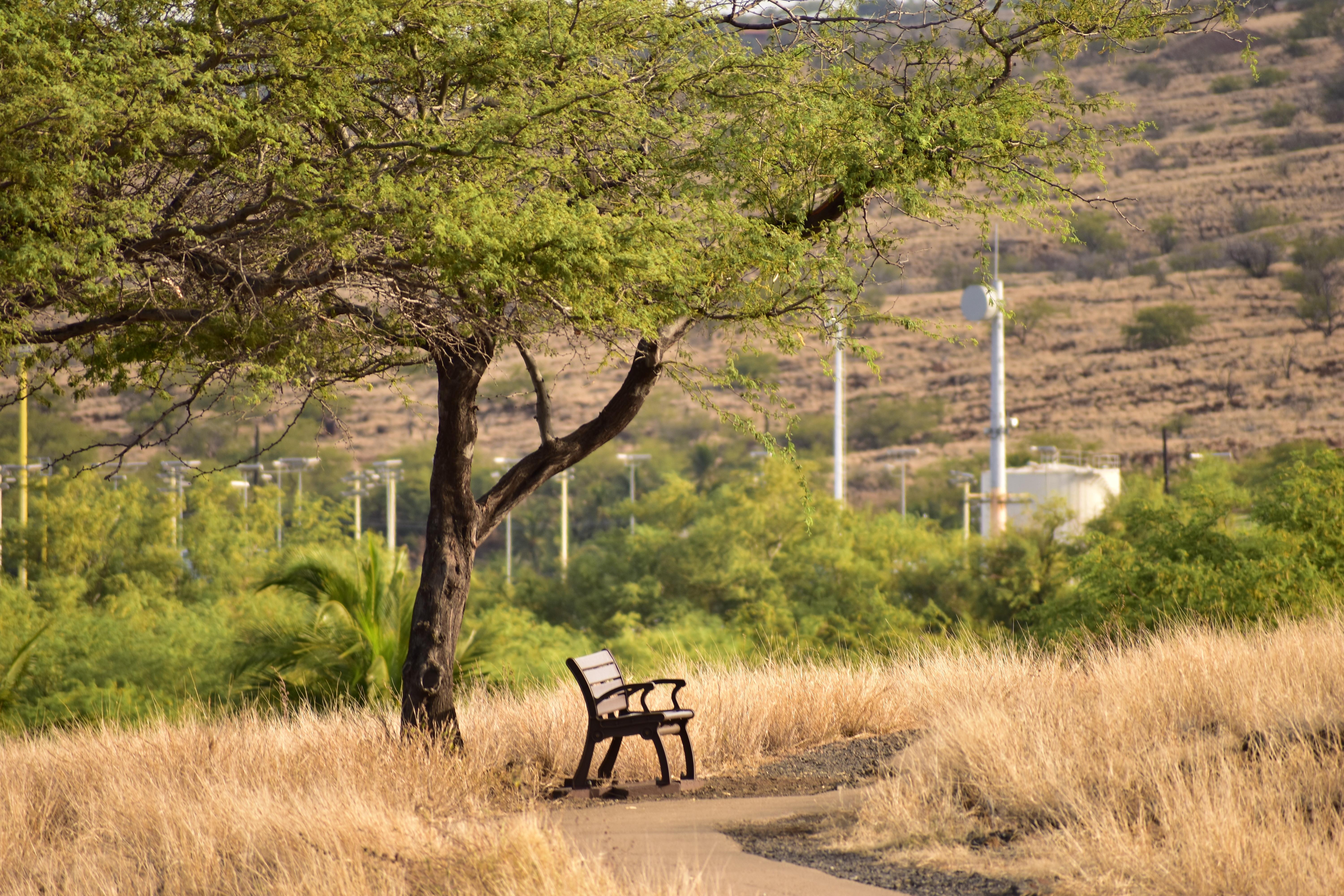 Puʻukoholā Heiau National Historic Site — Puʻukoholā Heiau National Historic Site