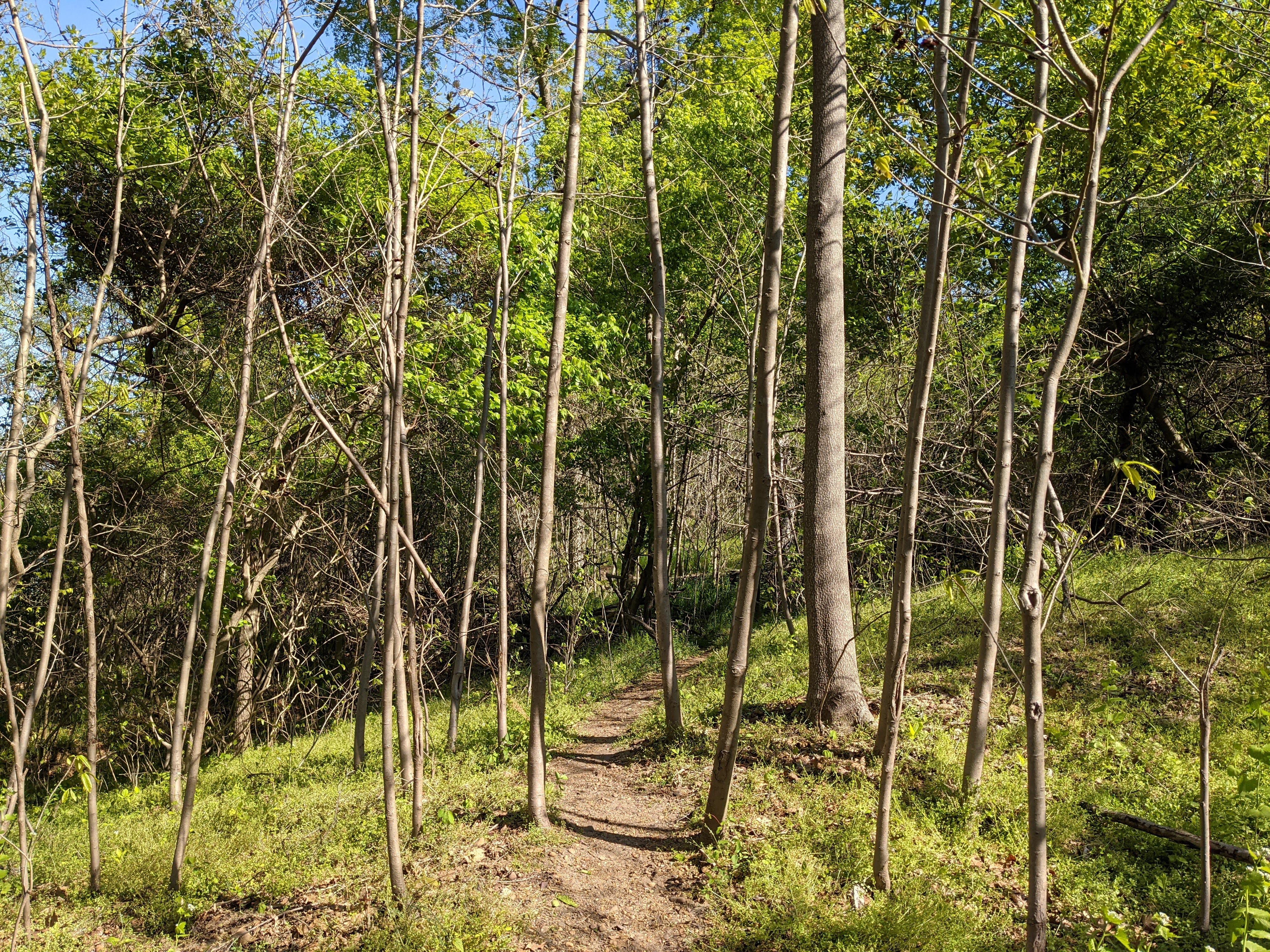 Fort Foote Park — Fort Foote River Trail