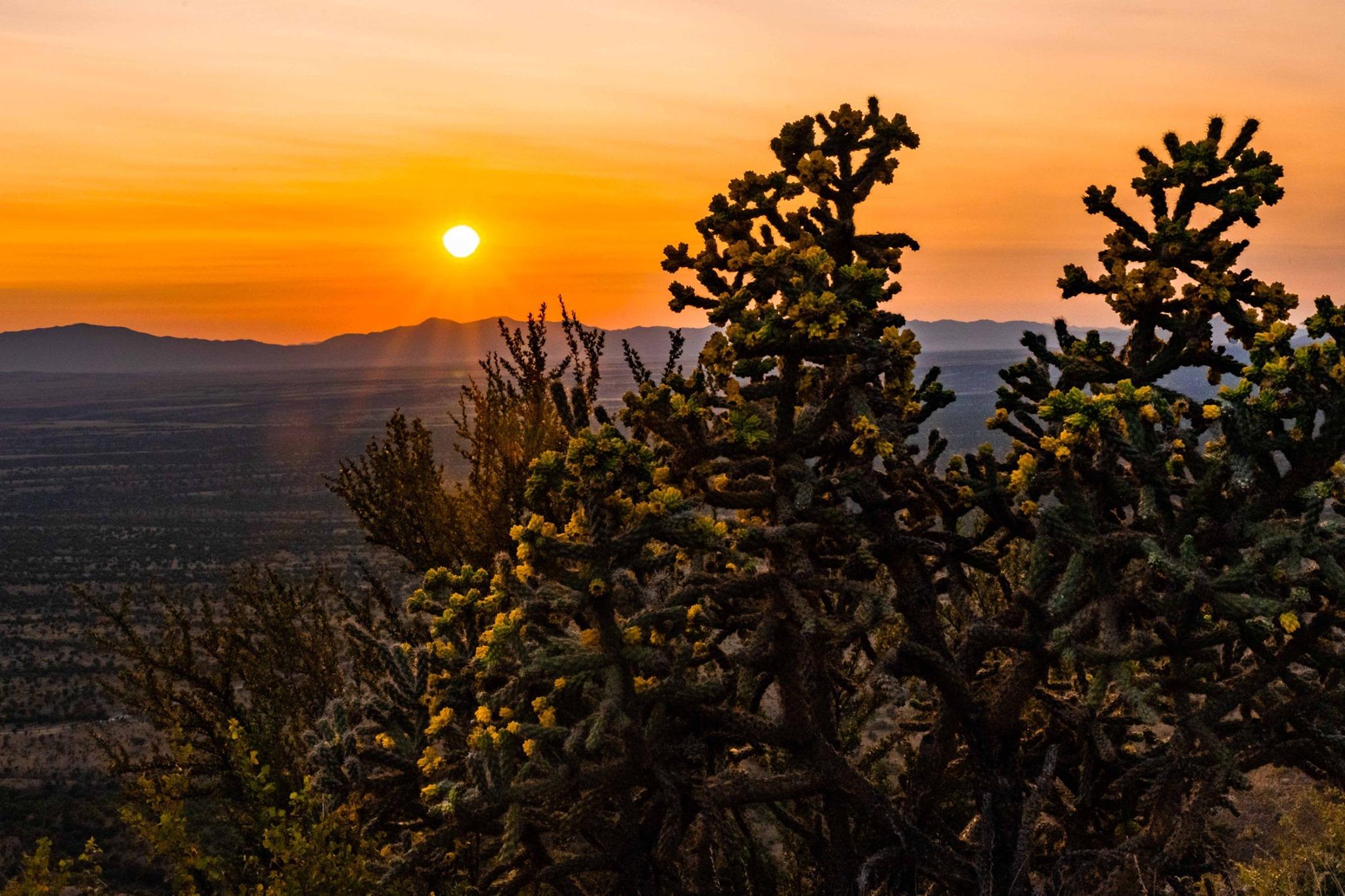 Coronado National Memorial — Sunset From Montezuma Pass